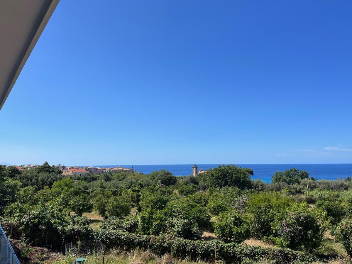 Aurantia - Mediterranean Tale *